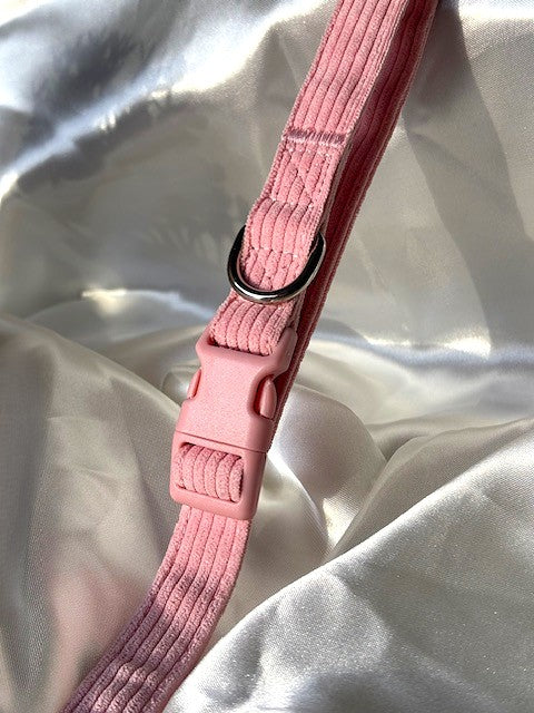 Laisse en velours côtelé - Rose poudré